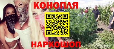 стафф Моздок