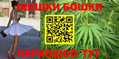 дживик Можга