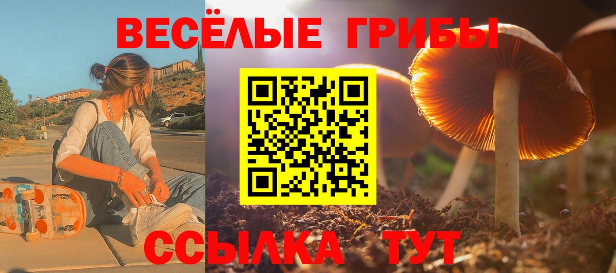 Саратов  Галлюциногенные грибы Magic Shrooms  цена   Вход с VPN 
